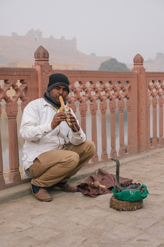 A snake charmer sits on the ground, playing a flute with a cobra emerging from a basket in front of him, against the backdrop of a historical fort. He's dressed for the weather, with a warm hat and scarf, focused on his art.